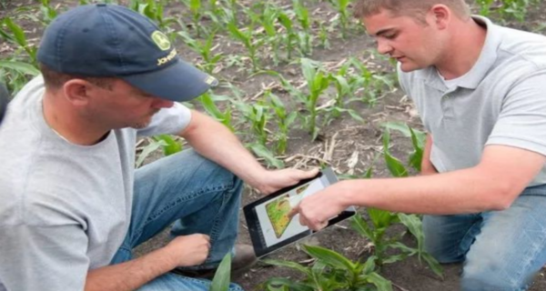 What Technologies Are Used in Precision Agriculture?
